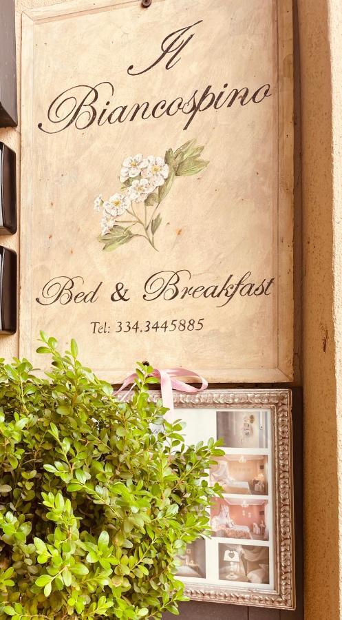 B&B Il Biancospino Abbadia San Salvator Luaran gambar
