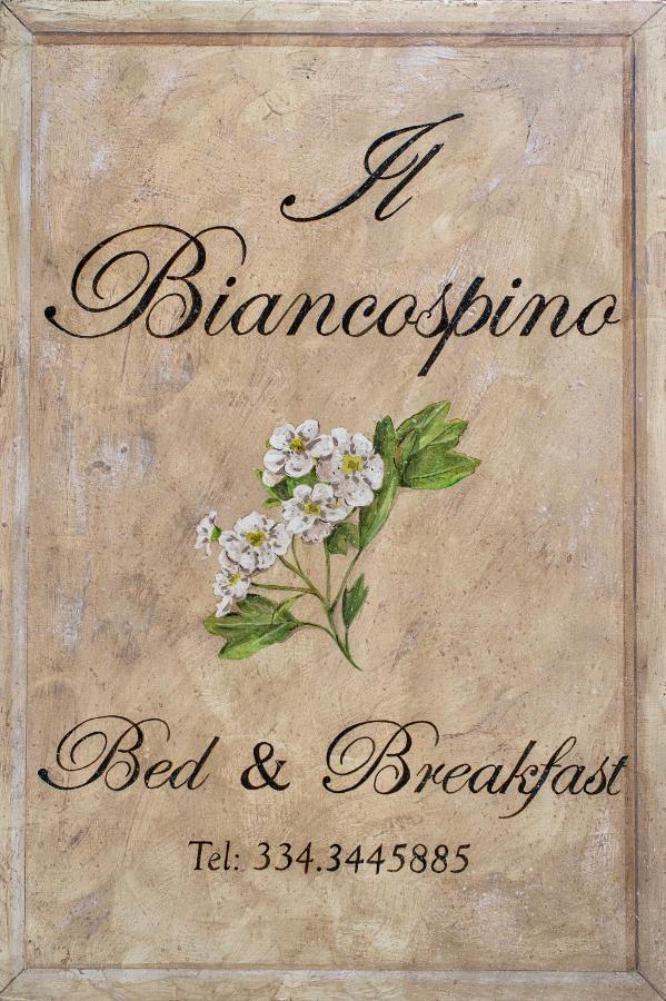 B&B Il Biancospino Abbadia San Salvator Luaran gambar